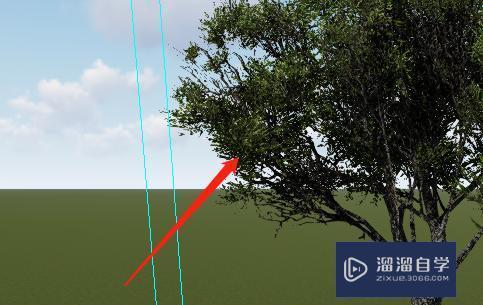 树木在Lumion中无法显示 树木在Lumion中无法显示 - BIM,Reivt中文网
