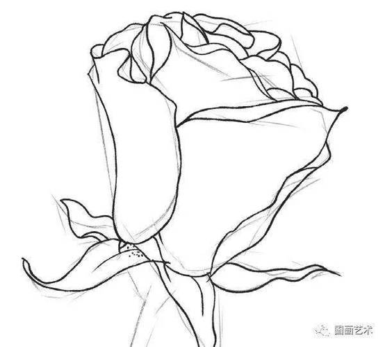 cad绘制平面玫瑰花的步骤 cad绘制平面玫瑰花的步骤 - BIM,Reivt中文网