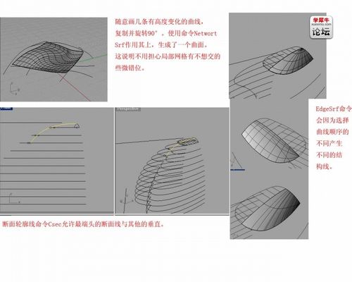 犀牛为什么不能成功沿曲面流动? 犀牛为什么不能成功沿曲面流动? - BIM,Reivt中文网