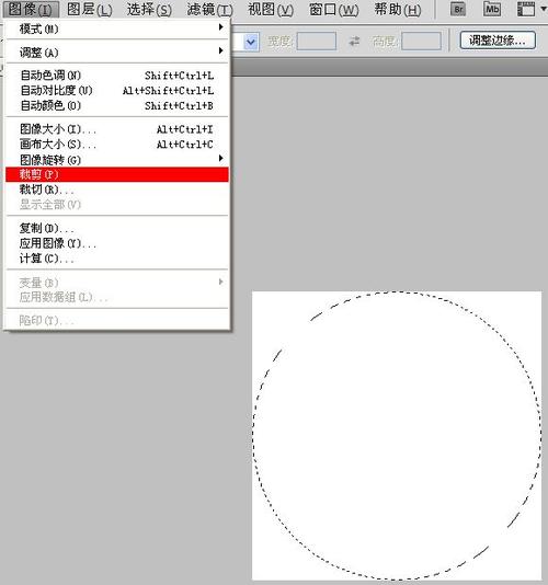 如何使用PS轻松裁剪圆形? 如何使用PS轻松裁剪圆形? - BIM,Reivt中文网