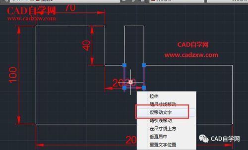 将CAD图形进行左右翻转 将CAD图形进行左右翻转 - BIM,Reivt中文网