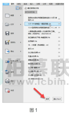 腿腿教学网-Revit中如何放大临时尺寸标注方法的图文教程（文/李晓天）
